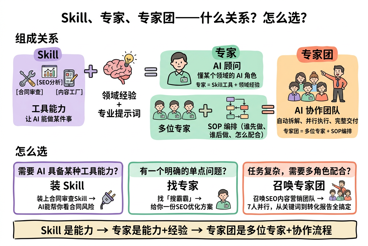 expert-7